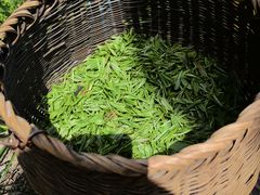 -中国茶叶博物馆(双峰馆区)