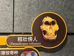 -国家自然博物馆