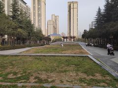 -木塔寺遗址生态公园