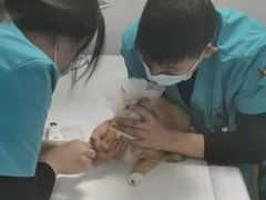 -中农大我爱我爱动物医院(甜水园店)