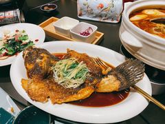 -恬阿姨庭院餐厅·生日宴