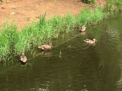 -前关湿地公园