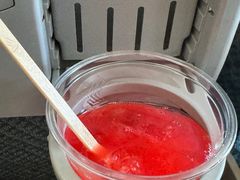 -新加坡航空公司(ION)