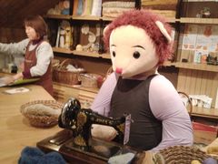 -济州岛泰迪熊博物馆