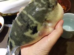 -肆月河豚·新淮扬(金融街店)