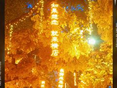 -横店影视城梦幻谷园区