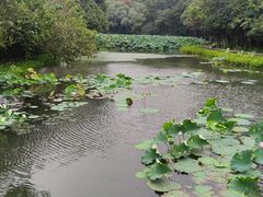 -八卦田遗址公园