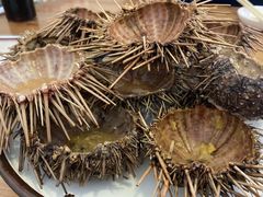 -海胆小馆(东北水饺·春柳店)