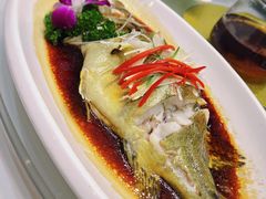 -小贝壳酒楼(经九路店)