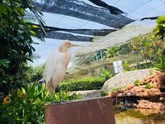 -吉隆坡雀鸟公园