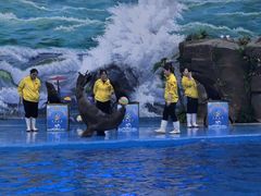 -多彩贵州城极地海洋世界