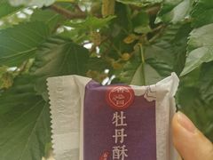-御林古桑园