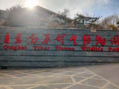 -青藏高原野生动物园