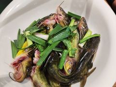 -老凯俚酸汤鱼(鸿通城店)