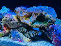 -上海海洋水族馆