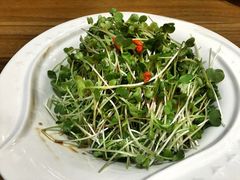青年公社海鲜城-海鲜城大家餐厅