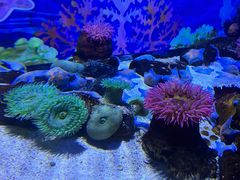 -南昌融创海世界