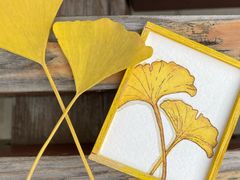 -三里屯东五街银杏大道