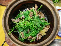 啫啫鸡煲-汤氏美食台山水步特色黄鳝饭(龙津东路店)