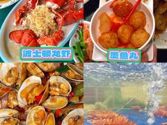 -亚龙湾热带天堂森林公园