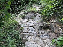 -北京鹫峰国家森林公园