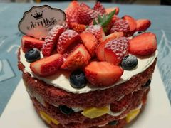 -维尔纳斯·生日蛋糕·动物奶油冰淇淋蛋糕(六里桥店)