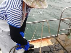 -日照世帆赛基地