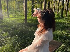 -黄海国家森林公园