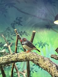 -Zoolung Zoolung动物主题公园(海信广场店)