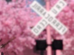 -金茂览秀城