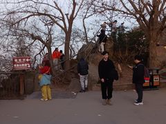 -紫金山山顶公园