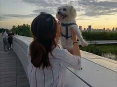 -哈尔滨大剧院