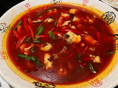 -陈麻婆豆腐(旗舰店)