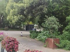 -江湾体育中心游泳馆