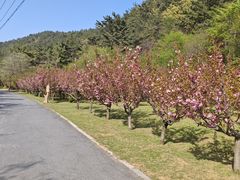 -金龙寺国家森林公园