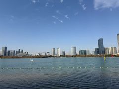 -天鹅湖体育公园