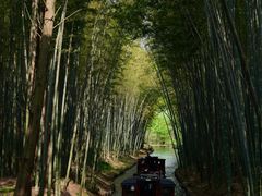 -同里国家湿地公园
