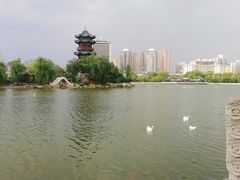-迎泽公园