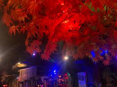 -醉小酒馆·川菜·江湖菜·重庆菜(观音桥旗舰店)