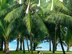 -三亚海棠湾万丽度假酒店