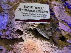 -周口店北京人遗址公园