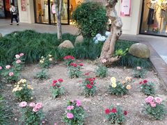 -宁波杉井奥特莱斯广场