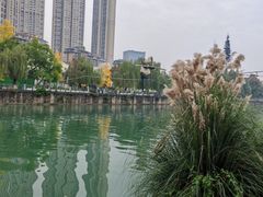 -成都市活水公园