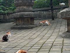 -四门塔风景区