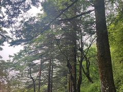 -峨眉山风景名胜区