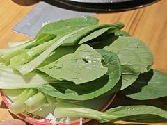 -成老灶火锅鸡(平山店)