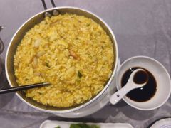 -丁老爷子苏香圆