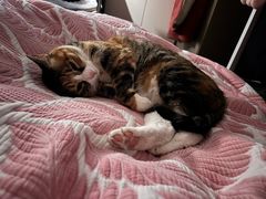 -新荟城(望京店)