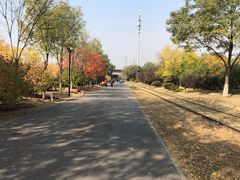 -永定河休闲森林公园