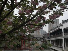 -龙潭水乡